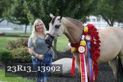 23R13_13992 thumbnail